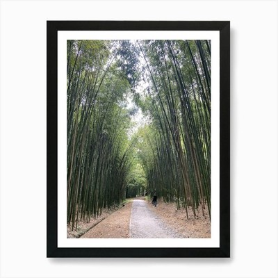 Bambuswald Kunstdruck gerahmt Wandbild Poster Leinwanddruck Bild