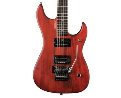 Washburn N Series N24 Nuno Bettencourt Vintage Guitar - Padauk