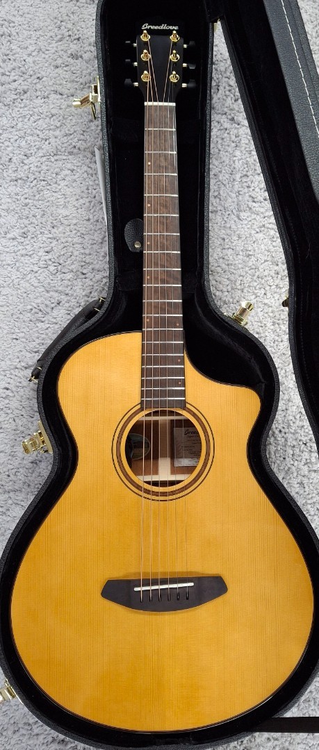 Breedlove Performer Pro Concertina CE 121490₽