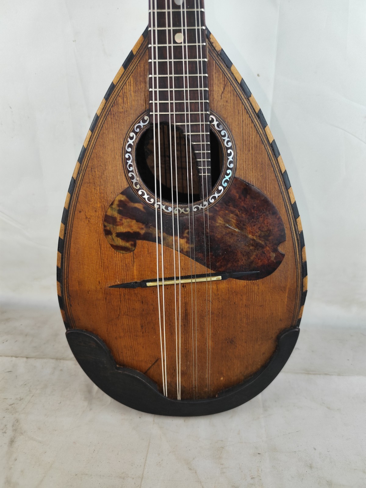 Mandolin 6 Corde Michele Ussano fu Luigi 1900 Napoli 曼陀林 만돌린 マンドリン
