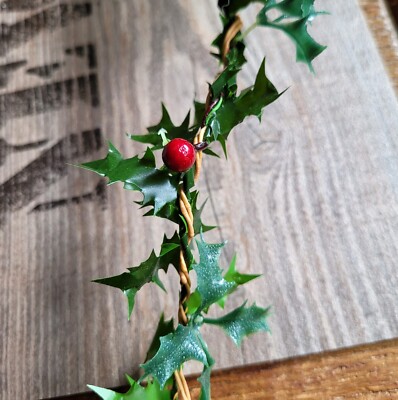 zimmerefeu winterhart Zimmerefeu kaufen | Hedera Helix Wonder main image 1