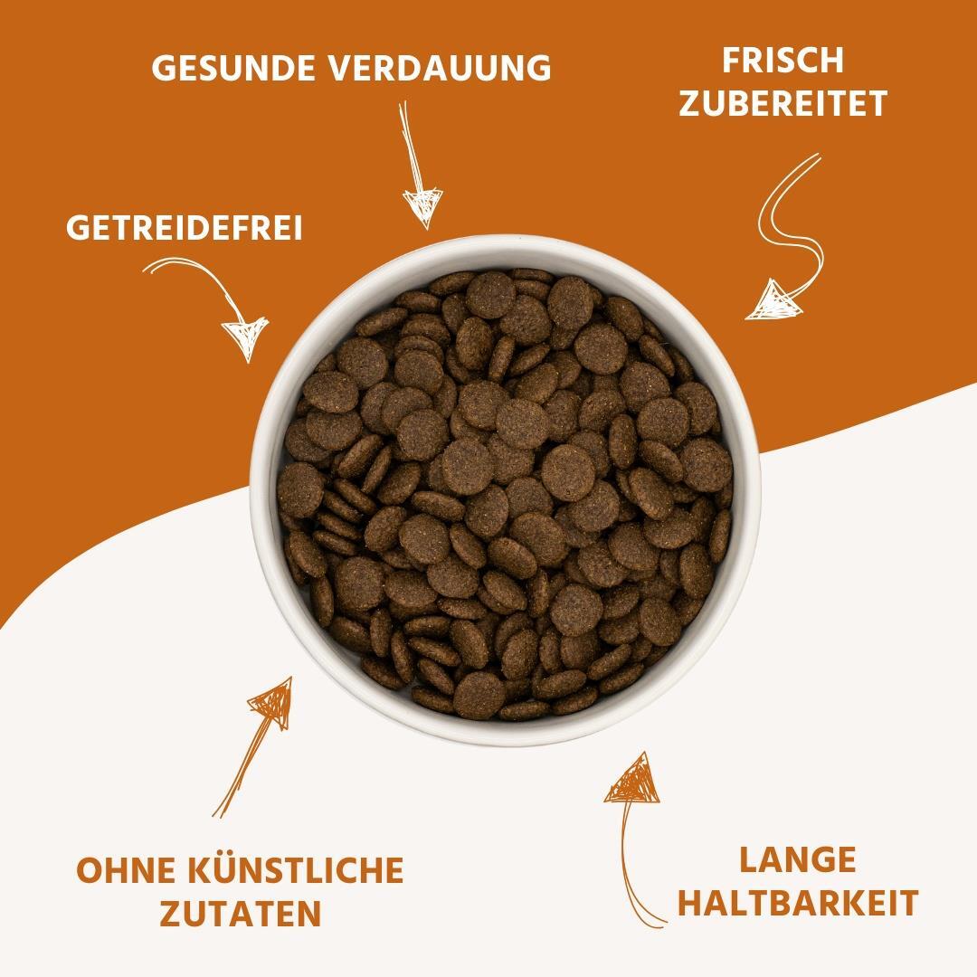 Bild 3 von 8