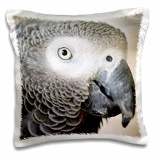 3dRose African Grey Parrot tropical bird - NA02 MFR0001 - MFR 16x16 inch Pillow