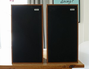 celef monitor speakers