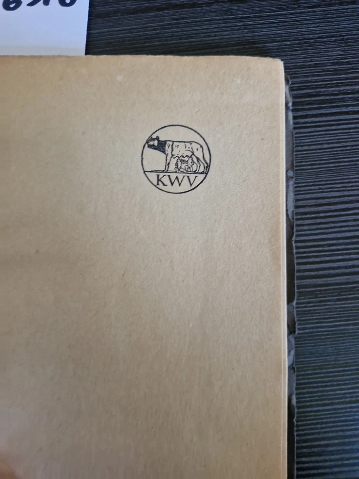 Walter Hasenclever Das unendliche Gespräch Kurt Wolff Verlag Jüngste Tag 2 - Bild 2 von 4