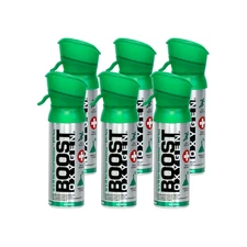 Boost Oxygen Pocket Size Natural 3L Canister | Respiratory Support for Aerobic