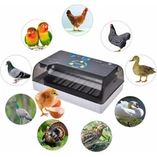 12 Eggs Incubator Incubators Hatching Eggs For Chicken Quail Poultry Hatching