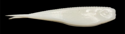 Zoom Tiny Fluke Style Soft Jerkbait 2.5" 30ct LiveScope FFS señuelo de pesca de lubina - Imagen 26 de 30