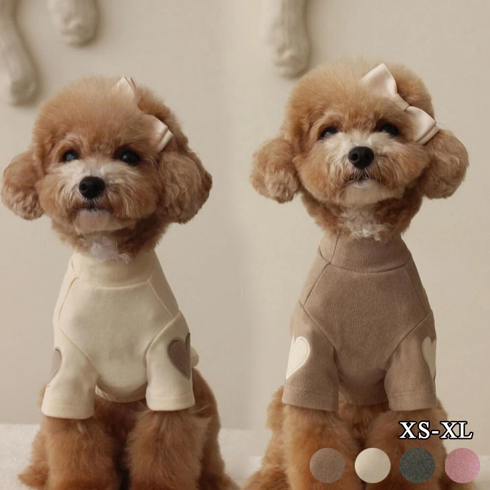 VETEMENTS Felpa con cappuccio calda cucciolo gilet abbigliamento cane gatto Apprael felpa maglione au v