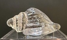 CONCH SEA SHELL CLEAR GLASS PAPERWEIGHT