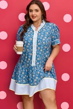 Women's Plus Size Blue Floral Print Striped Patchwork Ruffle Hem Dress