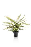 Artplants Plastik Schwertfarn Maurice, GrüN, 55Cm