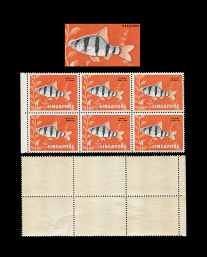 Singapore 1962 def Fish 4c block of 6 showing black misplaced. Mint original gum
