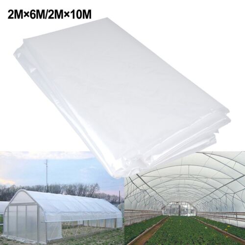 Protect Your Plants with Clear Plastic Sheeting Convenient and Easy to Use - Picture 1 of 37