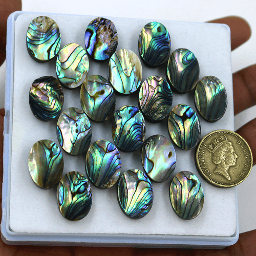 Lote de 19 piedras preciosas calibradas cabujón ovalado de grado superior de abulón natural de 18 mm x 13 mm - Imagen 7 de 15