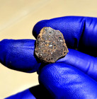 NWA 2907 Ungrouped Achondrite Meteorite 1.544g Part Slice Rare COA — photo 9