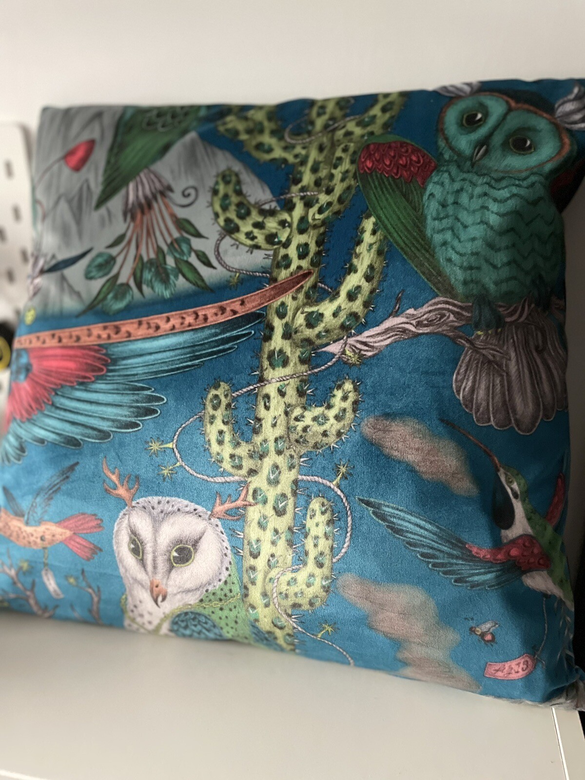 Emma J Shipley Frontier VELVET Cushion Cover 45cm eBay