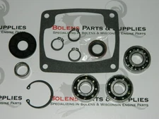 Bolens-Troy Bilt Mowing deck&Snowblower gearbox rebuild kit 1745476 / 1723771