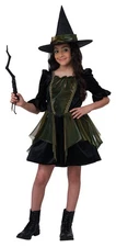 Wicked Elphabna Emerald City Witch Oz Child Costume