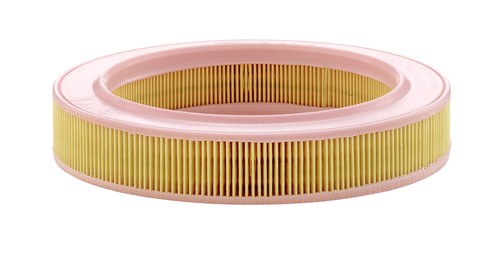 Filtro aria MANN-FILTER C 25 040 per Nissan, Renault