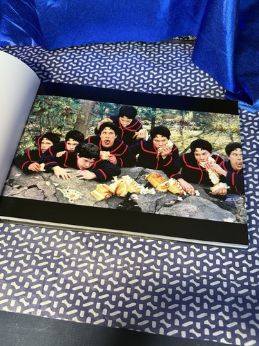 Anthony Goicolea 2007 Kunst Fotografie Jungen HCDJ limitierter Druck - Bild 6 von 17