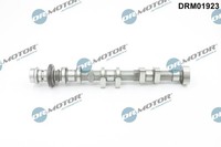 Dr.Motor Automotive Nockenwelle Einlassseite FüR Ford Ecosport Fiesta VII 1.0
