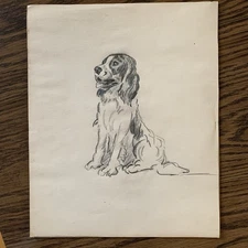 Vintage Pencil Sketch Drawing Art Dog Puppy Spaniel Unsigned 9x11" Spaniel