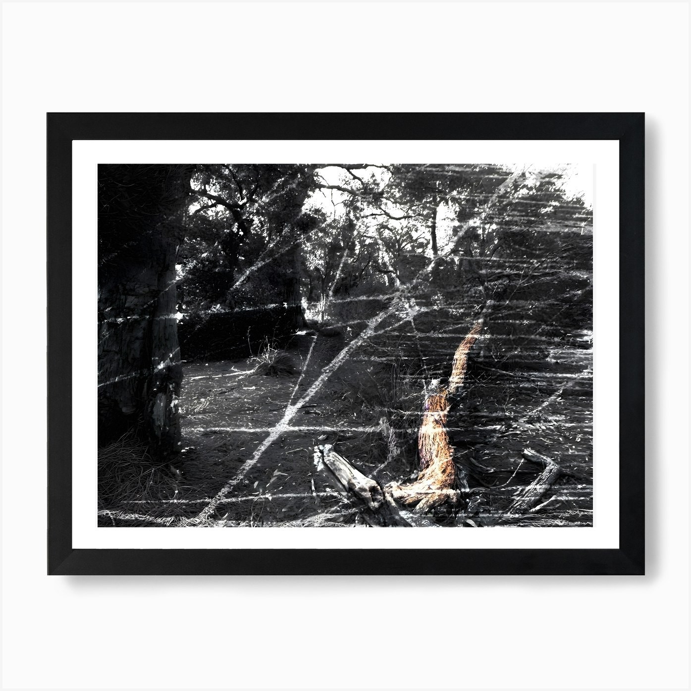 Framed Tree Art Print Canvas Wall Decor Picture Poster  