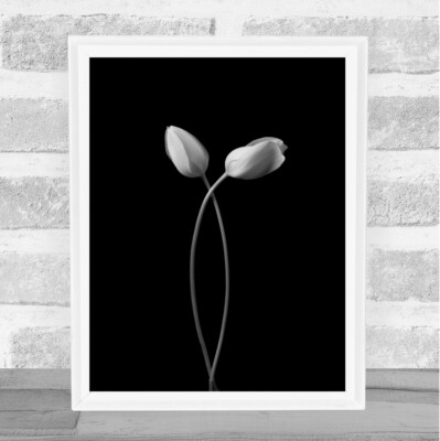 Umarmungsblume Tulpe Tulpen L Blumen Umarmung Wandbild Kunstdruck