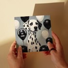 Bild 8 von 10