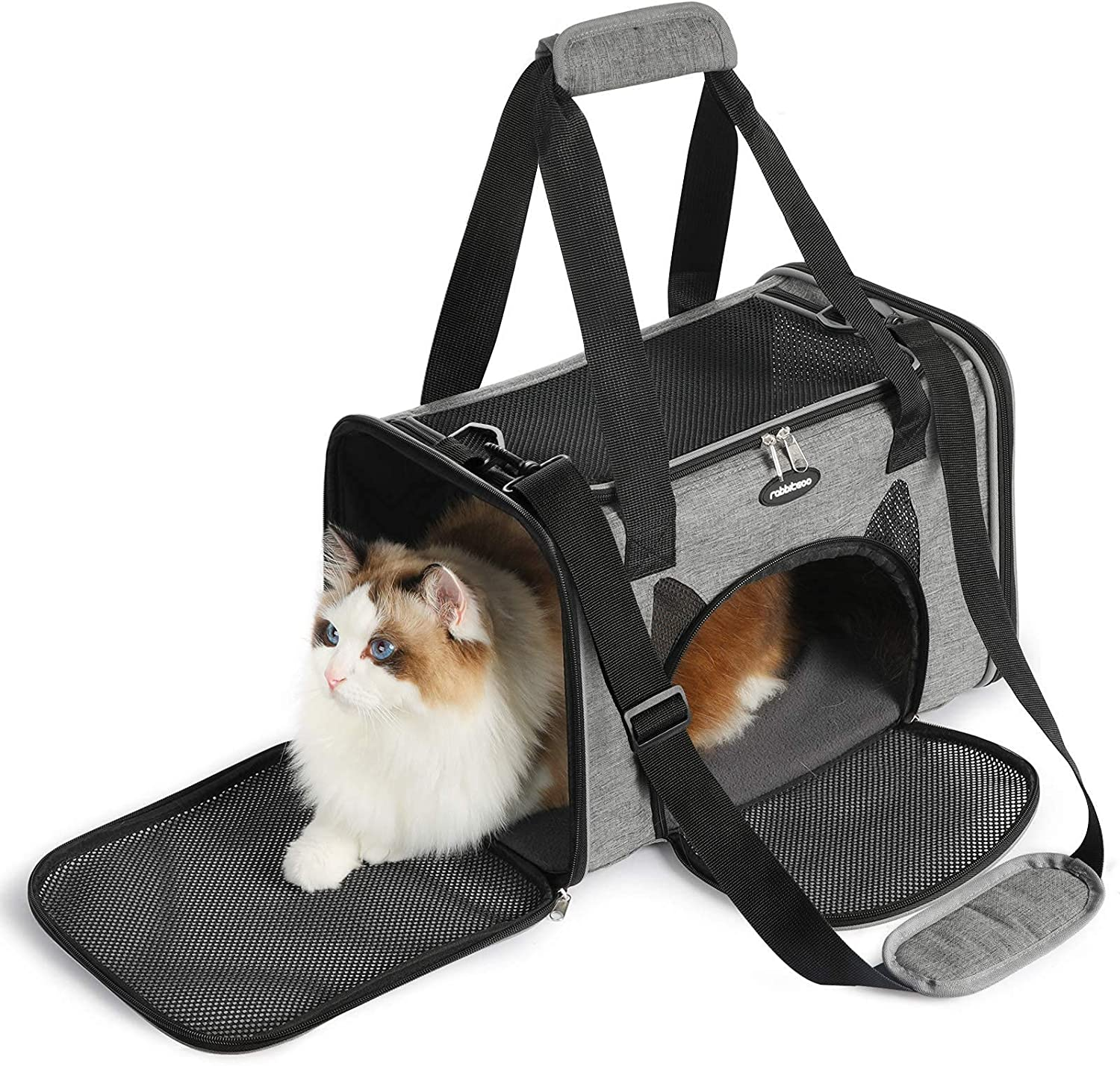 soft sided carrier for dogs