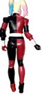 2020 Spin Master SML DC Comics 12” Batman villain Harley Quinn action figure — photo 2