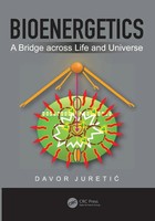 Davor Juretic | Bioenergetics | Taschenbuch | Englisch (2024) | CRC Press