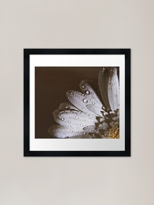 Whisper Your Secrets Framed Art Pri Framed Wall Art Poster Canvas Print Picture
