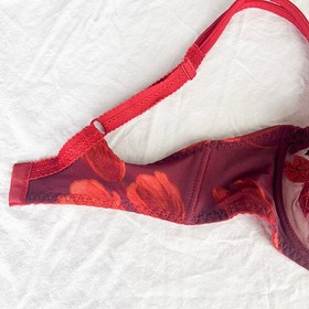 VTG 90s Aubade Demi Cup Underwire Bra Red Floral Lace Luxury Lingerie 34D