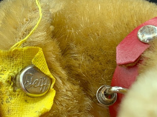 1950's German Steiff Mohair Hexie Dachshund Dog Button Flag Red Leather Collar - Picture 12 of 12