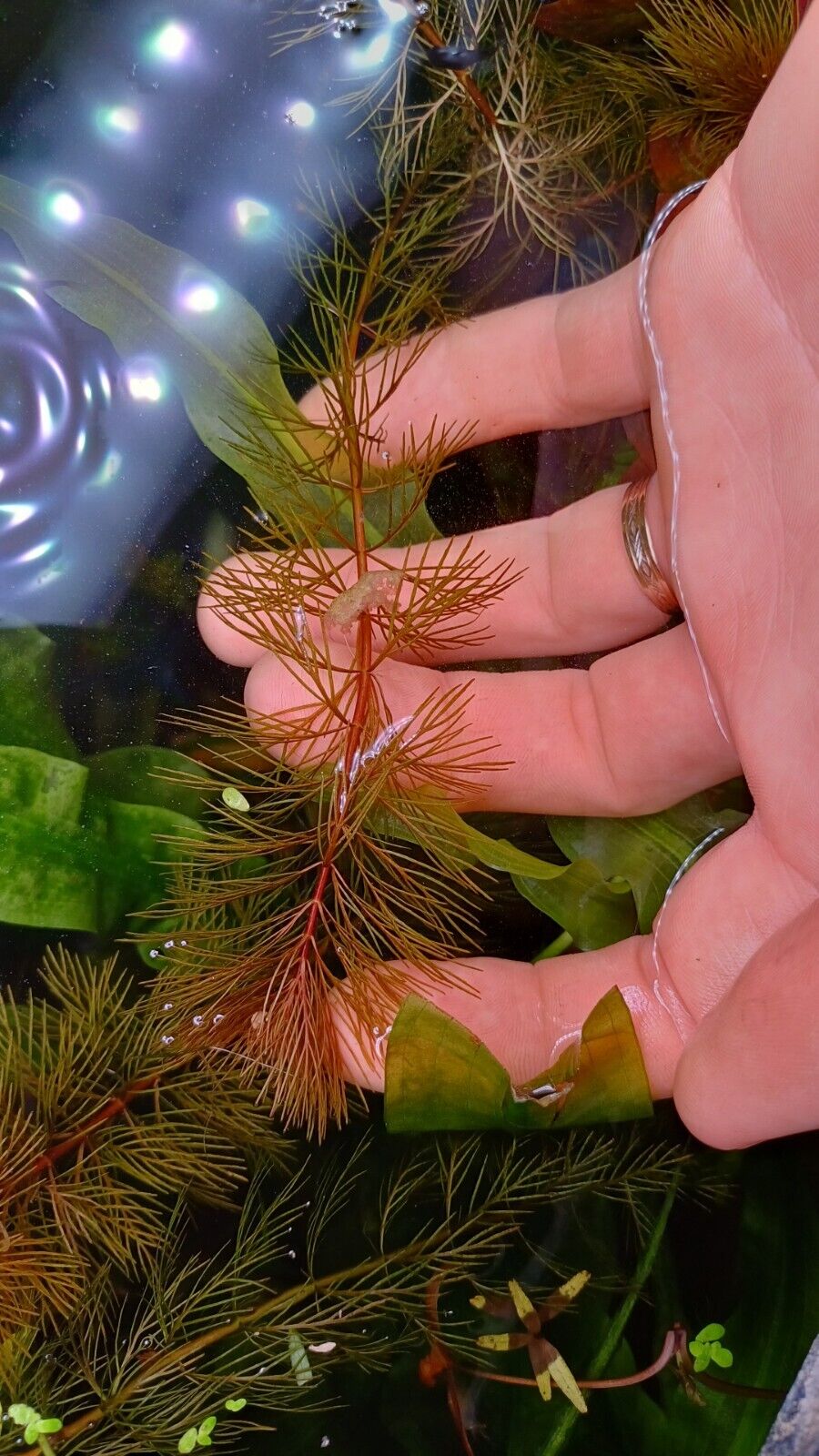 Foto 1 di 8