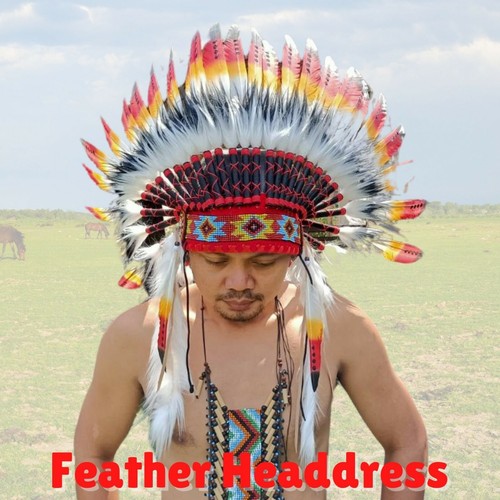 Indian Headdress Chief Feathers war 
