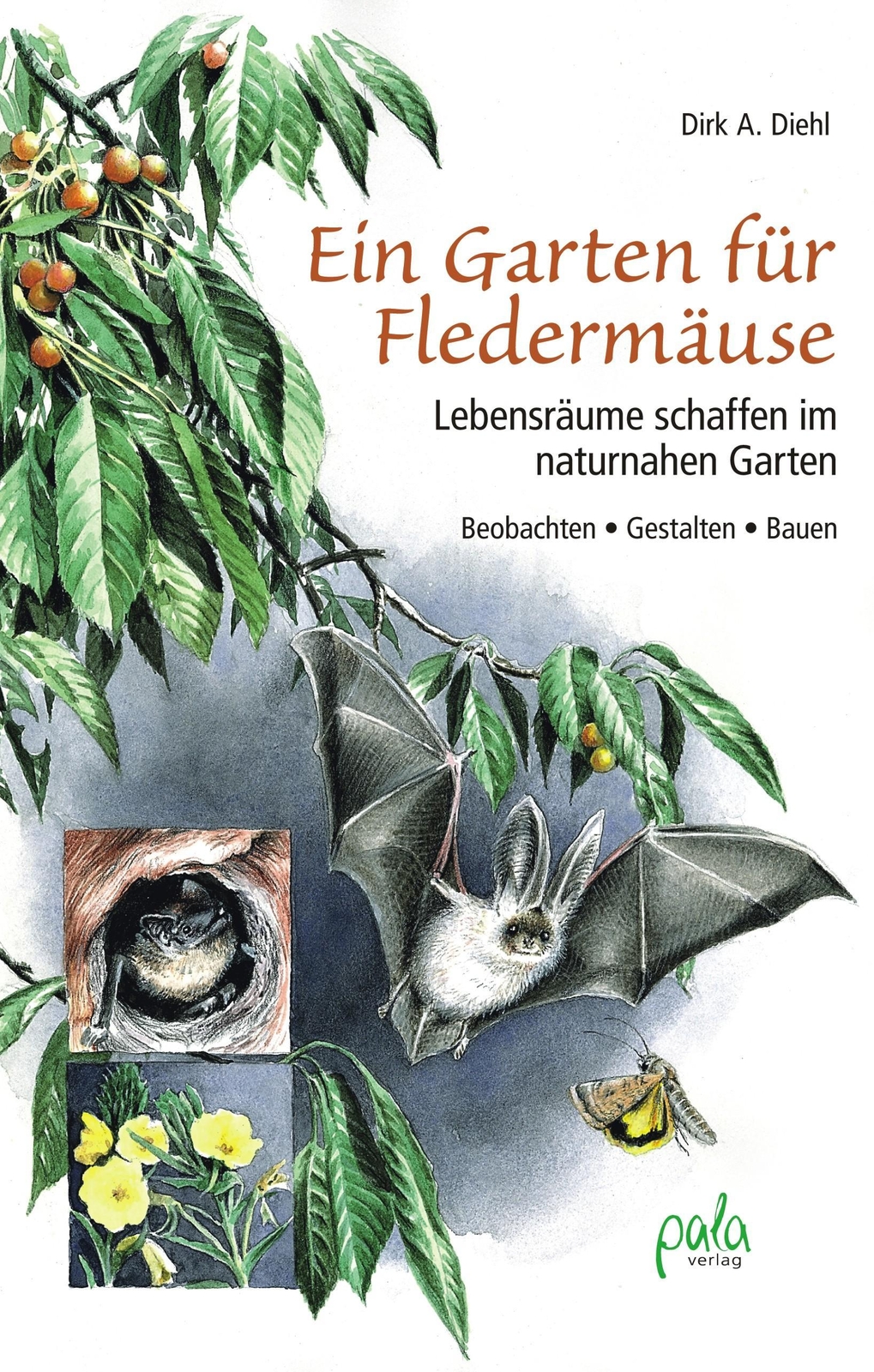 Thumbnail - Ein Garten Für Fledermäuse Dirk A. Diehl