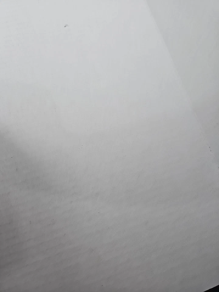 Libro guía de estrategia Final Fantasy XI Online Atlas con chaqueta Yoshitaka Amano Foto 4 de 4