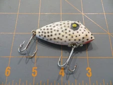 Texas Pico Perch - White with Black Dots - 2 1/4 inch