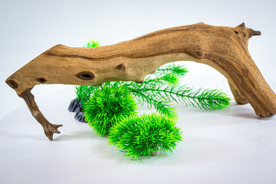 Large Driftwood Manzanita 18'' Aquascape Aquarium Terrarium Reptile Home Decor