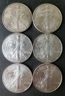 Lot of Six $1 American Silver Eagle Dollars