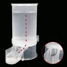 Automatic Pigeon Water Dispenser Drinking Bottle for Lovers Bird Watching