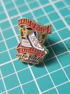 2004 Award Of Mature Excellence Get Fit Stay Fit Challenge Gold Tone Lapel Pin