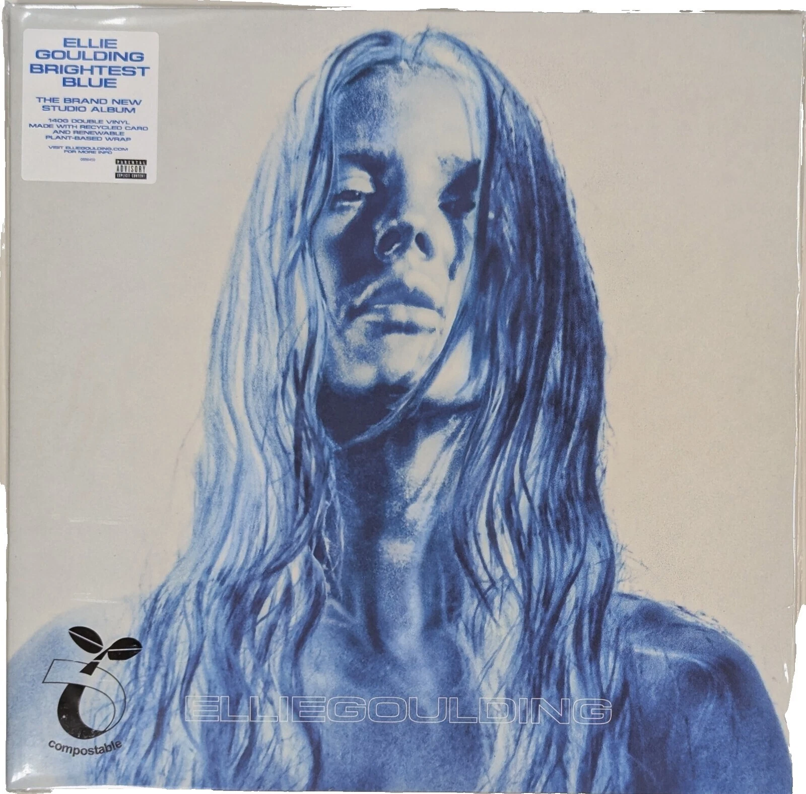 Discos de Vinil Ellie goulding