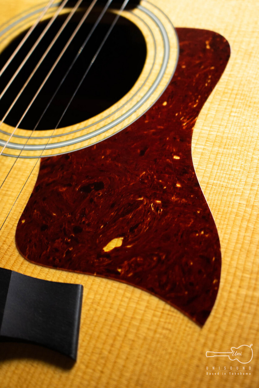 人気ブランドの 【Taylor】416ce アコースティックギター☆値下げしま ...