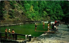 1962. STONEYBROOK STATE PARK. DANSVILLE, NY. POSTCARD. SZ17