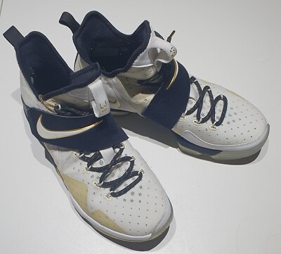 lebron 14 size 11