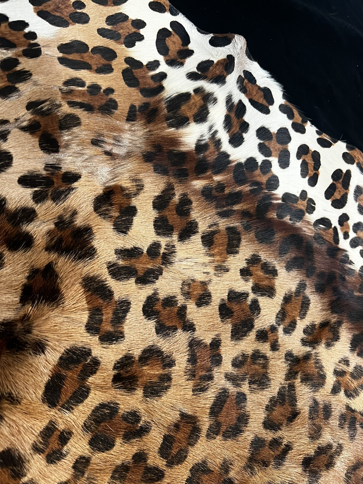 Picture 7 of 8